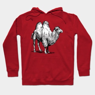 Bactrian Camel Vintage Style Illustration Hoodie